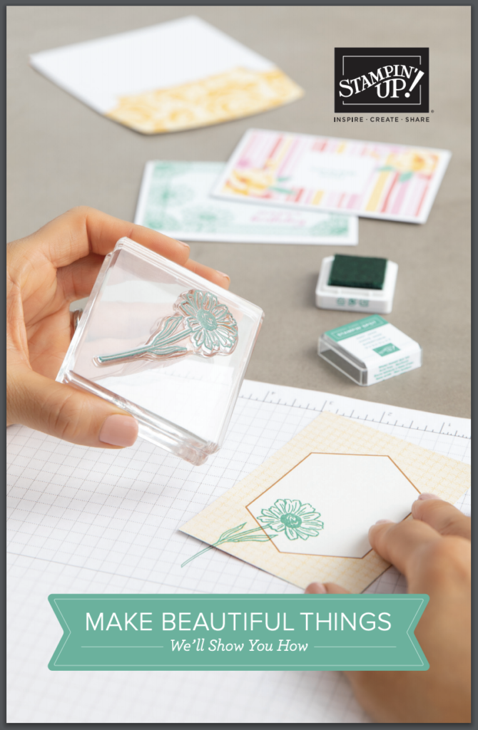 2020-2021 Beginner Brochure Front Cover Image