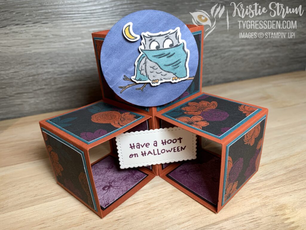 Have a Hoot Pop-Up Cube Card 1